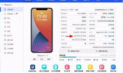 苹果110序列号查询_苹果110序列号查