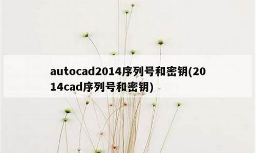 cad序列号密匙_cad序列号密钥