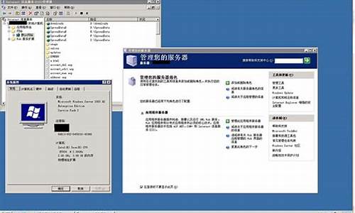 win2008标准版支持多大内存_win2003标准版8g内