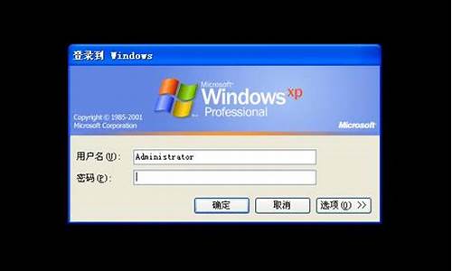 xp系统忘记开机密码怎么办啊_xp系统忘记密码了