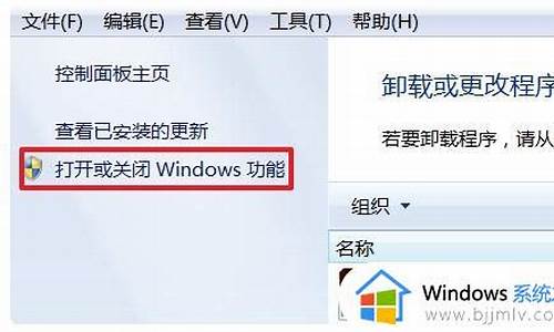 win7iis出现错误并非所有功能被更改_win7并非所有功能被成功更改