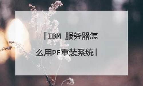 ibm服务器pe系统_ibm服务器进pe按什么键